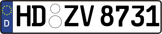 HD-ZV8731