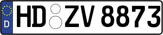 HD-ZV8873