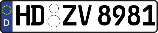 HD-ZV8981