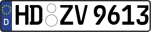 HD-ZV9613