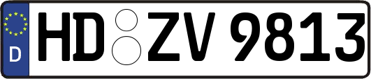 HD-ZV9813
