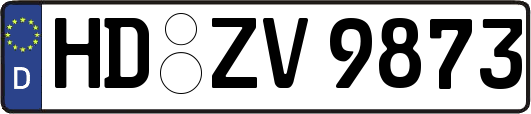 HD-ZV9873