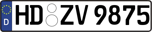 HD-ZV9875