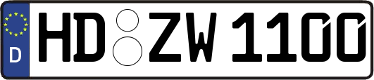 HD-ZW1100