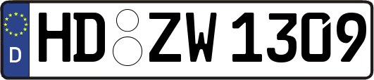 HD-ZW1309
