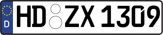HD-ZX1309