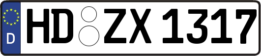 HD-ZX1317