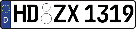 HD-ZX1319