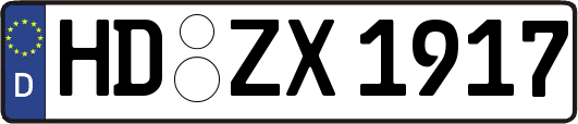 HD-ZX1917