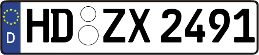 HD-ZX2491