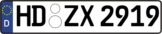 HD-ZX2919