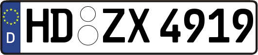 HD-ZX4919