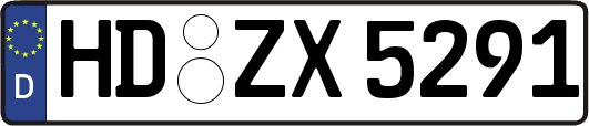 HD-ZX5291