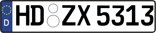 HD-ZX5313