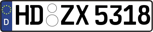 HD-ZX5318