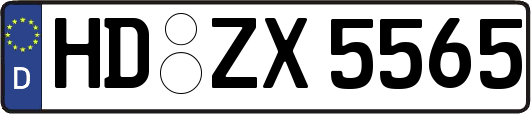 HD-ZX5565