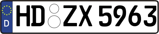 HD-ZX5963