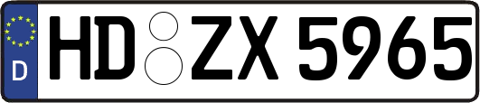 HD-ZX5965