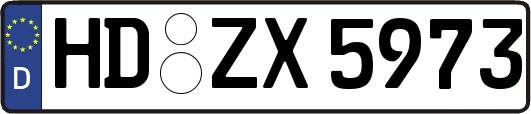HD-ZX5973