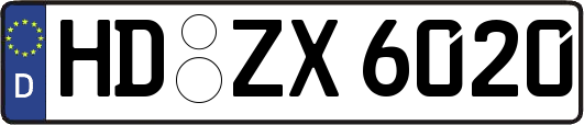 HD-ZX6020