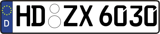 HD-ZX6030