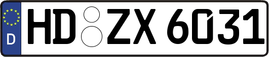 HD-ZX6031