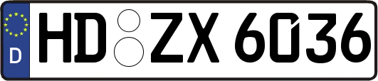 HD-ZX6036