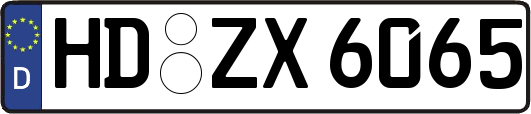 HD-ZX6065