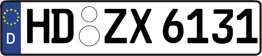 HD-ZX6131