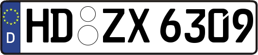 HD-ZX6309