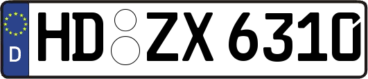 HD-ZX6310