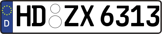 HD-ZX6313