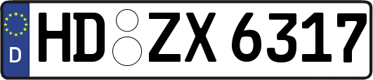HD-ZX6317