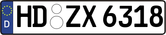 HD-ZX6318