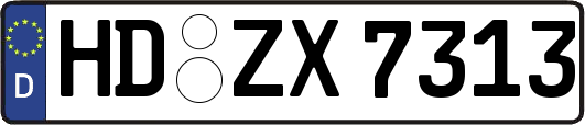 HD-ZX7313
