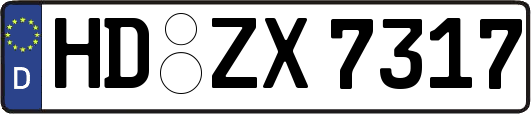 HD-ZX7317