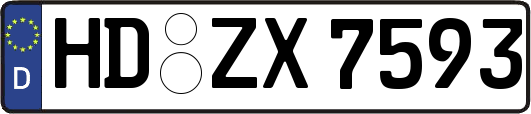 HD-ZX7593
