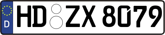 HD-ZX8079