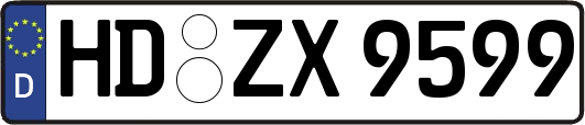 HD-ZX9599