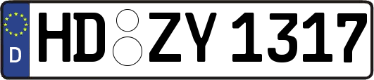 HD-ZY1317