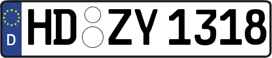 HD-ZY1318