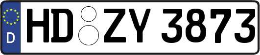 HD-ZY3873