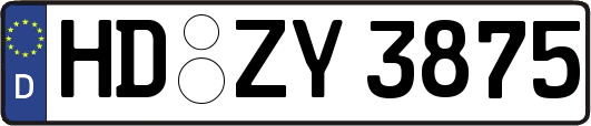 HD-ZY3875