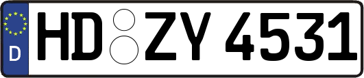 HD-ZY4531