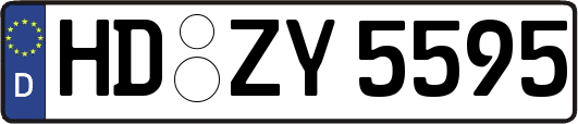 HD-ZY5595