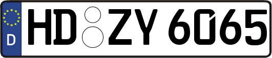 HD-ZY6065