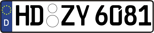 HD-ZY6081