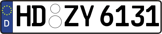HD-ZY6131