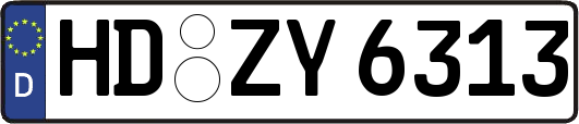 HD-ZY6313
