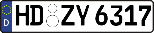 HD-ZY6317